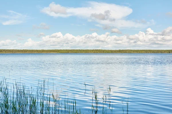 从水晶般清澈的森林湖岸上俯瞰全景 Idyllic景观 生态旅游 游泳和休闲主题 — 图库照片