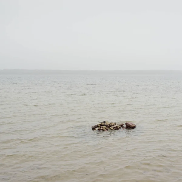 Forest River Lake Thick Fog Gloomy Sky Rain Overcast Day — стокове фото