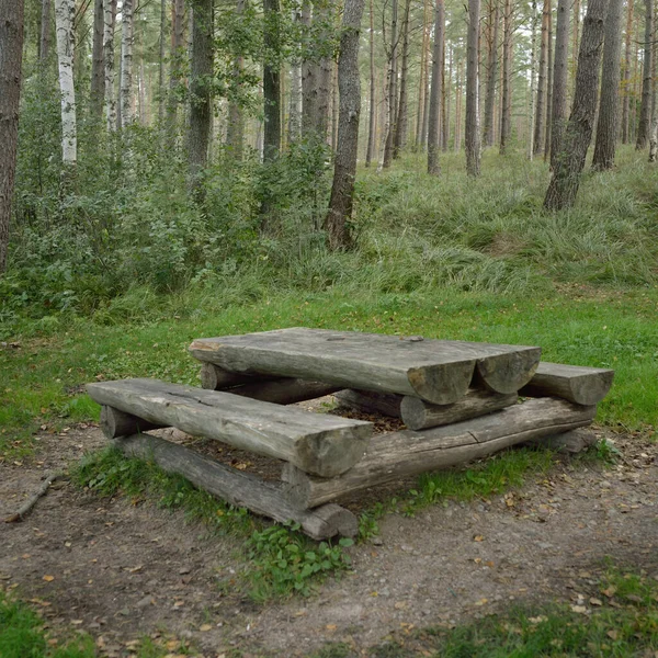 Recreational Area Resting Zone Green Forest Rustic Wooden Bench Table —  Fotos de Stock