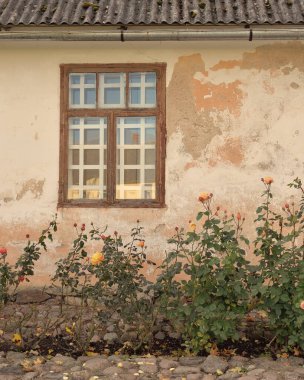 Kırsal ahşap kapılı ve pencereli geleneksel taş ev. Çiçek açan güller, güzel bahçeler. Idyllic kırsal kesim. Seyahat yerleri, yerel turizm, şehir simgeleri, bahçe düzenlemeleri, peyzaj.