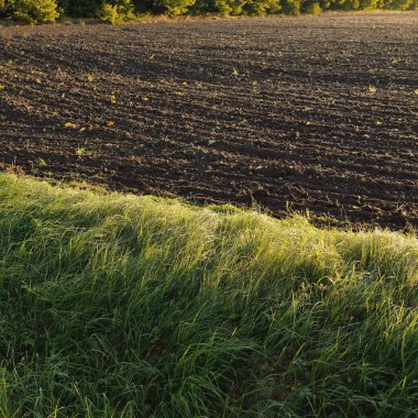 Tarlaya sürülmüş tarla, toprak dokusu. Arka planda orman var. Yumuşak sabah güneşi. Kırsal alan. Kırsal, tarım ve gıda endüstrisi, tohumlar, tarla, sulama temaları