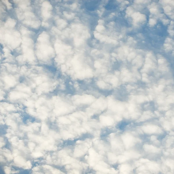 Een Wolkenlandschap Witte Sier Wolken Zacht Zonlicht Zonnestralen Heldere Blauwe — Stockfoto