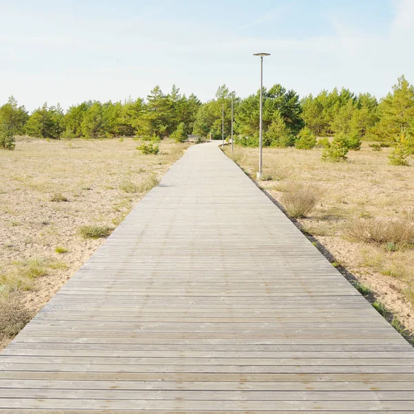 穿越波罗的海海岸和森林的现代木制通道 木板路 Idyllic景观 生态旅游 向北步行 骑自行车 健康的生活方式 — 图库照片