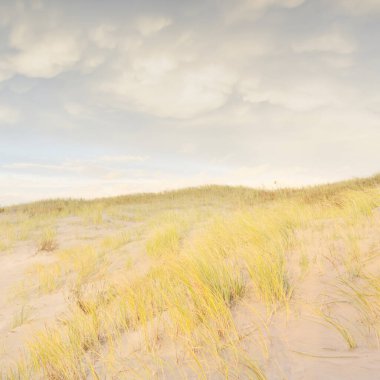 Gün batımında Baltık kıyısı. Kumsal, kum tepeleri, kum tepecikleri. Açık günbatımı gökyüzü, parlayan bulutlar. Idyllic manzara. Doğa, tatiller, eğlence. eko turizm