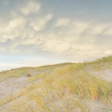 Gün batımında Baltık kıyısı. Kumsal, kum tepeleri, kum tepecikleri. Açık günbatımı gökyüzü, parlayan bulutlar. Idyllic manzara. Doğa, tatiller, eğlence. eko turizm