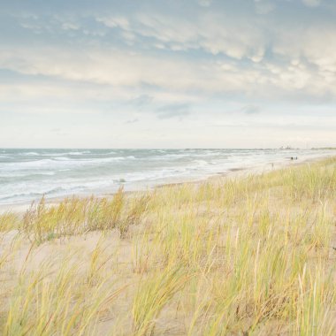 Baltık kıyıları (kum tepeleri) fırtınadan sonra gün batımında. Açık gökyüzü, parlayan bulutlar, rüzgar. Sonbahar manzarası. Doğa, çevre koruma, ekoloji, eko-turizm, yerel seyahat