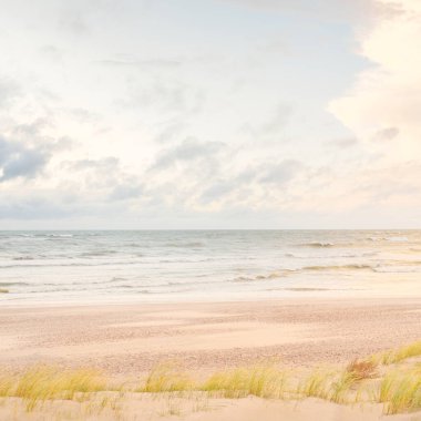 Baltık kıyıları (kum tepeleri) fırtınadan sonra gün batımında. Açık gökyüzü, parlayan bulutlar, rüzgar. Sonbahar manzarası. Doğa, çevre koruma, ekoloji, eko-turizm, yerel seyahat