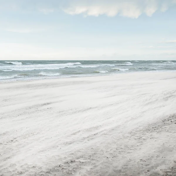 Gün batımında Baltık kıyısı. Açık günbatımı gökyüzü, parlayan bulutlar. Idyllic manzara. Doğa, tatiller, eğlence. Çevre turizmi. Panoramik görünüm