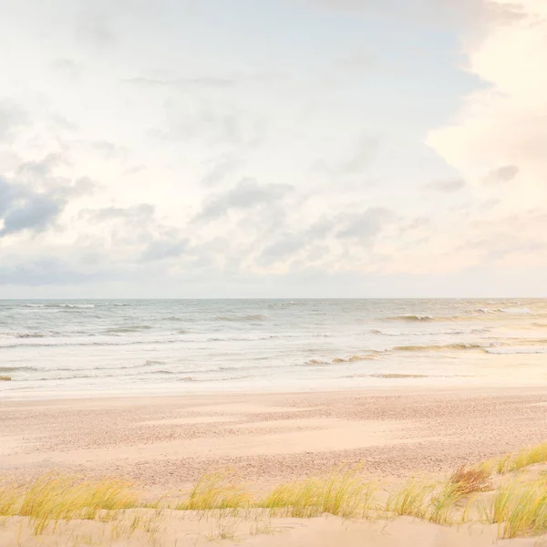 Baltic sea coast (sand dunes) after the storm at sunset. Clear sky, glowing clouds, wind. Autumn landscape. Nature, environmental conservation, ecology, ecotourism, local travel