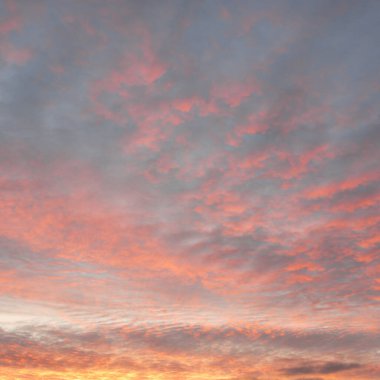 Parlayan pembe, altın rengi sirrus ve kümülüs bulutlarıyla açık mavi gökyüzü. Gün doğumu. Dramatik bulut manzarası. Sanat, meteoroloji, cennet, umut, barış, grafik kaynakları, resimli panoramik manzara