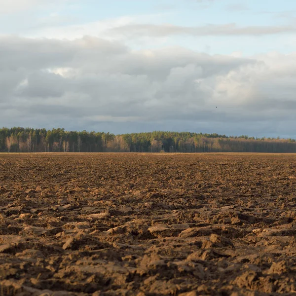 Tarım tarlası, toprak dokusu. Tarım ve gıda endüstrisi, alternatif üretim, gübre, sulama, çevresel hasar ve koruma kavramları