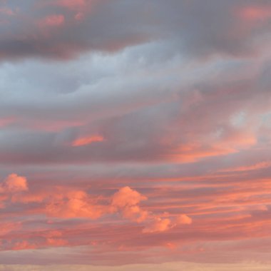 Fırtınadan sonra parlayan pembe ve altın rengi bulutlar. Dramatik bulut manzarası. Sanat, meteoroloji, cennet, umut, barış, grafik kaynakları, resimli panoramik manzara