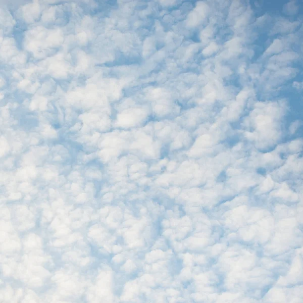 Een Wolkenlandschap Witte Sier Wolken Zacht Zonlicht Zonnestralen Heldere Blauwe — Stockfoto