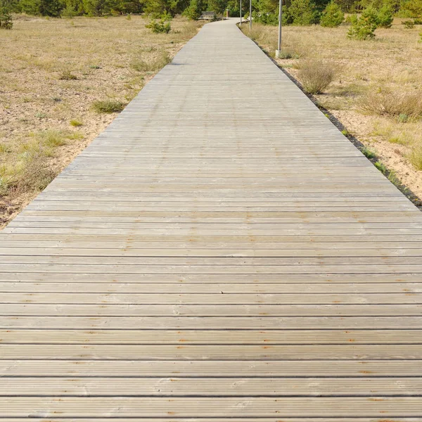 Baltık deniz kıyıları ve ormanı boyunca modern ahşap patika (tahta yol). Idyllic manzara. Doğa, ekoloji. eko-turizm, yürüyüş yolu, kuzey yürüyüşü, bisiklet, sağlıklı yaşam tarzı