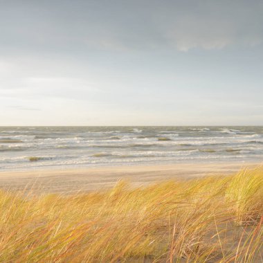 Baltık kıyıları (kum tepeleri) fırtınadan sonra gün batımında. Açık gökyüzü, parlayan bulutlar, rüzgar. Sonbahar manzarası. Doğa, çevre koruma, ekoloji, eko-turizm, yerel seyahat