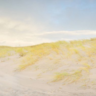 Gün batımında Baltık kıyısı. Kumsal, kum tepeleri, kum tepecikleri. Açık günbatımı gökyüzü, parlayan bulutlar. Idyllic manzara. Doğa, tatiller, eğlence. eko turizm