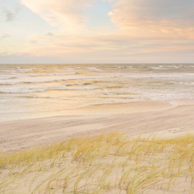 Gün batımında Baltık kıyısı. Kumsal, kum tepeleri, kum tepecikleri. Açık günbatımı gökyüzü, parlayan bulutlar. Idyllic manzara. Doğa, tatiller, eğlence. eko turizm