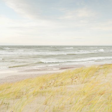 Baltık kıyıları (kum tepeleri) fırtınadan sonra gün batımında. Açık gökyüzü, parlayan bulutlar, rüzgar. Sonbahar manzarası. Doğa, çevre koruma, ekoloji, eko-turizm, yerel seyahat