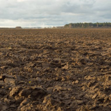 Tarım tarlası, toprak dokusu. Tarım ve gıda endüstrisi, alternatif üretim, gübre, sulama, çevresel hasar ve koruma kavramları