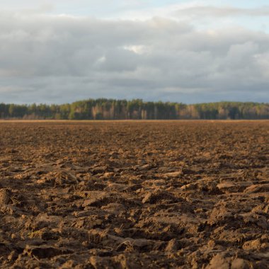 Tarım tarlası, toprak dokusu. Tarım ve gıda endüstrisi, alternatif üretim, gübre, sulama, çevresel hasar ve koruma kavramları