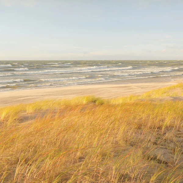 Baltic Sea Coast Sand Dunes Storm Sunset Clear Sky Glowing — Fotografia de Stock
