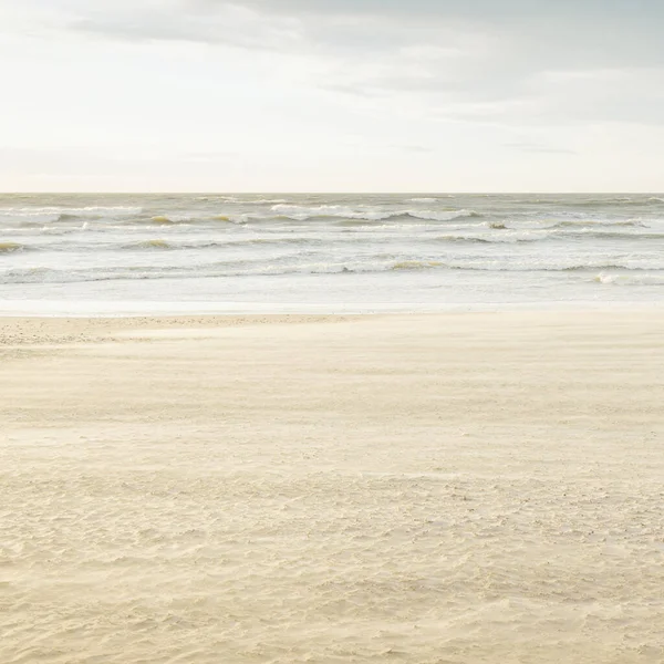 Gün batımında Baltık kıyısı. Açık günbatımı gökyüzü, parlayan bulutlar. Idyllic manzara. Doğa, tatiller, eğlence. Çevre turizmi. Panoramik görünüm