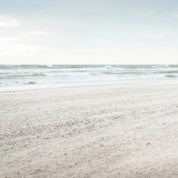 Gün batımında Baltık kıyısı. Açık günbatımı gökyüzü, parlayan bulutlar. Idyllic manzara. Doğa, tatiller, eğlence. Çevre turizmi. Panoramik görünüm