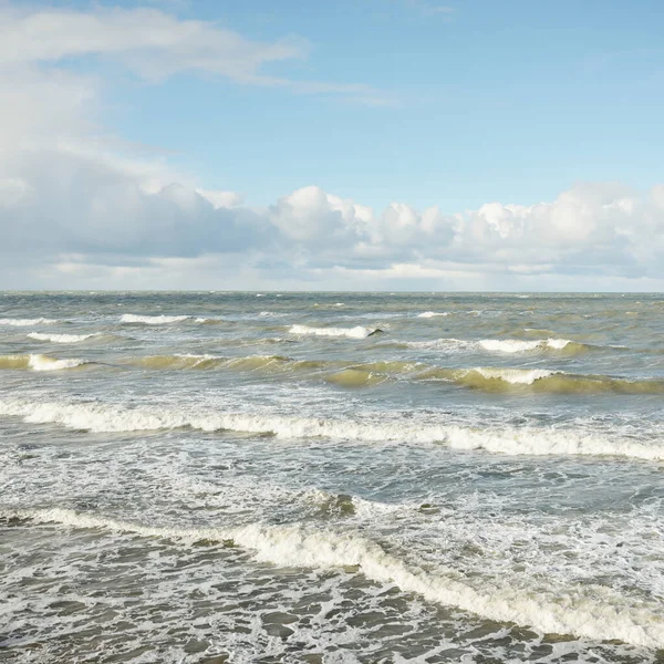 Fırtınadan sonra dramatik günbatımı bulutları altında Baltık Denizi. Dalgalar, su sıçratma. Destansı deniz manzarası. Kasırga, fırtına, sert hava, meteoroloji, ekoloji, iklim değişikliği, doğal olaylar