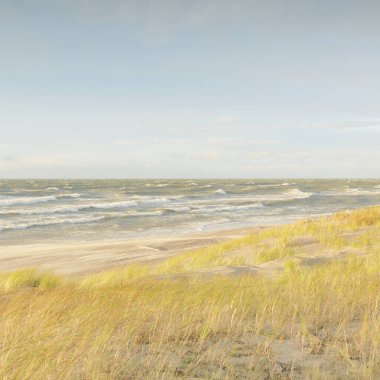 Baltık kıyıları (kum tepeleri) fırtınadan sonra gün batımında. Açık gökyüzü, parlayan bulutlar, rüzgar. Sonbahar manzarası. Doğa, çevre koruma, ekoloji, eko-turizm, yerel seyahat