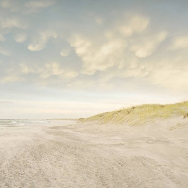 Gün batımında Baltık kıyısı. Kumsal, kum tepeleri, kum tepecikleri. Açık günbatımı gökyüzü, parlayan bulutlar. Idyllic manzara. Doğa, tatiller, eğlence. eko turizm