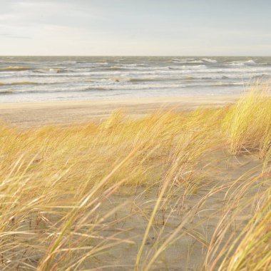 Baltık kıyıları (kum tepeleri) fırtınadan sonra gün batımında. Açık gökyüzü, parlayan bulutlar, rüzgar. Sonbahar manzarası. Doğa, çevre koruma, ekoloji, eko-turizm, yerel seyahat