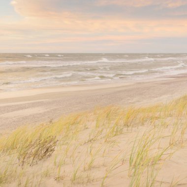 Baltık kıyıları (kum tepeleri) fırtınadan sonra gün batımında. Açık gökyüzü, parlayan bulutlar, rüzgar. Sonbahar manzarası. Doğa, çevre koruma, ekoloji, eko-turizm, yerel seyahat
