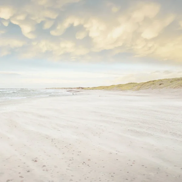 Baltic Sea Shore Sunset Clear Sunset Sky Glowing Clouds Idyllic — Stock Photo, Image