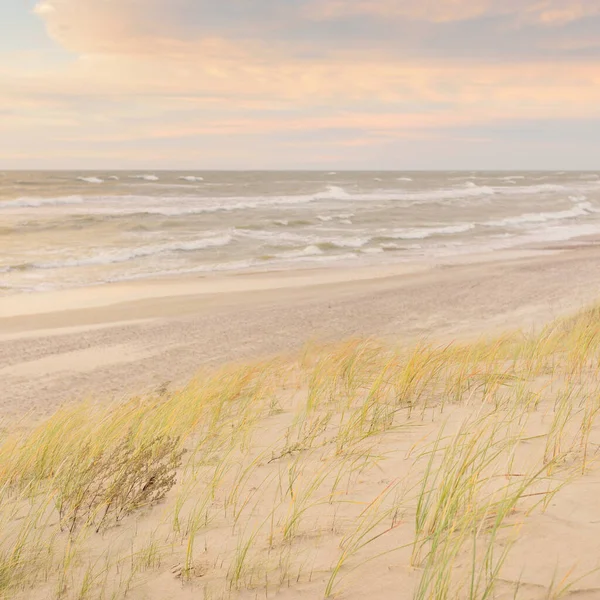 Baltık kıyıları (kum tepeleri) fırtınadan sonra gün batımında. Açık gökyüzü, parlayan bulutlar, rüzgar. Sonbahar manzarası. Doğa, çevre koruma, ekoloji, eko-turizm, yerel seyahat