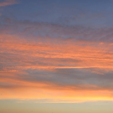 Açık mavi gökyüzü. Pembe ve altın renkli bulutlar. Gün doğumu. Dramatik bulut manzarası. Sanat, meteoroloji, cennet, umut, barış, grafik kaynakları, resimli panoramik manzara