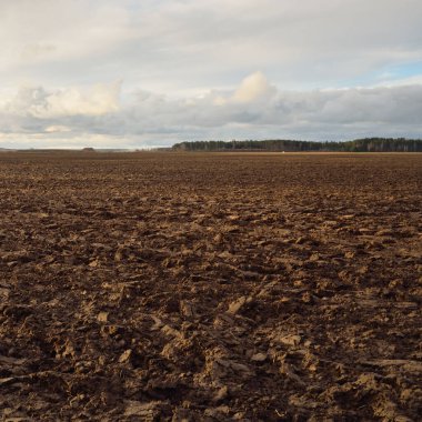 Tarım tarlası, toprak dokusu. Tarım ve gıda endüstrisi, alternatif üretim, gübre, sulama, çevresel hasar ve koruma kavramları