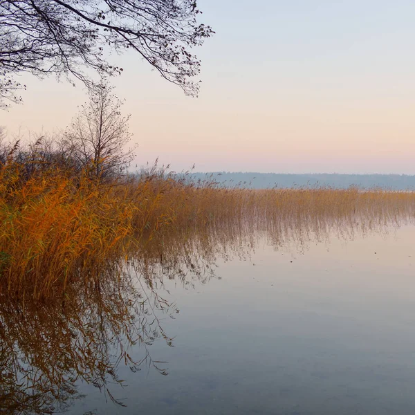 Lago Del Bosque Río Amanecer Luz Solar Suave Niebla Reflejos —  Fotos de Stock