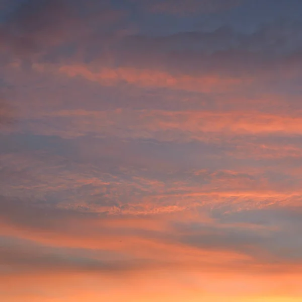 Céu Azul Claro Nuvens Brilhantes Rosa Dourada Nascer Sol Paisagem — Fotografia de Stock