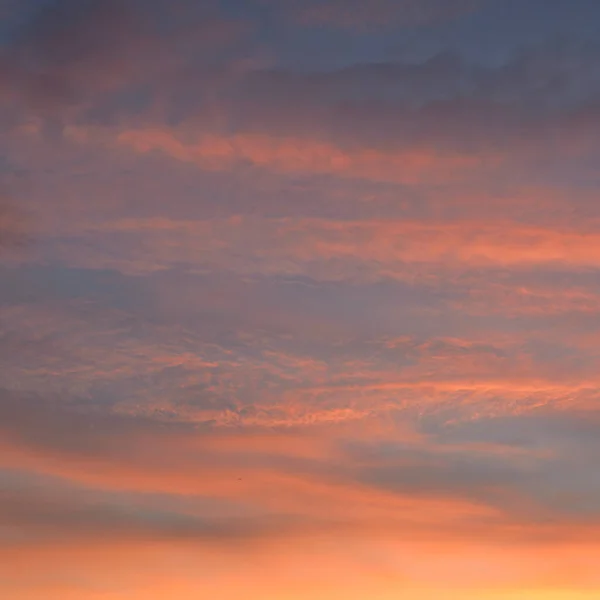 Clear Blue Sky Pink Golden Glowing Clouds Sunrise Dramatic Cloudscape — Stock Photo, Image