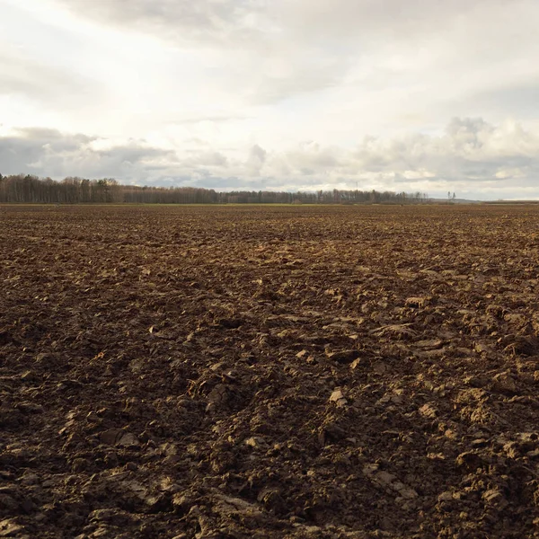 Tarım tarlası, toprak dokusu. Tarım ve gıda endüstrisi, alternatif üretim, gübre, sulama, çevresel hasar ve koruma kavramları