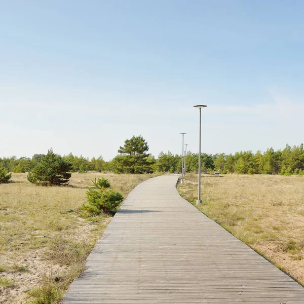 Modern Wooden Pathway Boardwalk Baltic Sea Coast Forest Idyllic Landscape — Stockfoto