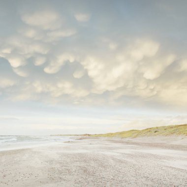 Gün batımında Baltık kıyısı. Açık günbatımı gökyüzü, parlayan bulutlar. Idyllic manzara. Doğa, tatiller, eğlence. Çevre turizmi. Panoramik görünüm