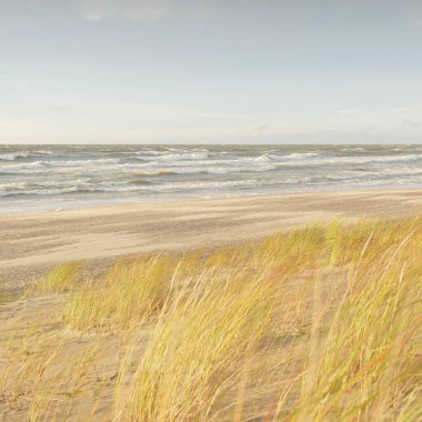 Baltık kıyıları (kum tepeleri) fırtınadan sonra gün batımında. Açık gökyüzü, parlayan bulutlar, rüzgar. Sonbahar manzarası. Doğa, çevre koruma, ekoloji, eko-turizm, yerel seyahat