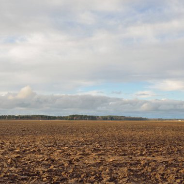 Tarım tarlası, toprak dokusu. Tarım ve gıda endüstrisi, alternatif üretim, gübre, sulama, çevresel hasar ve koruma kavramları