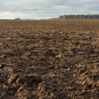 Tarım tarlası, toprak dokusu. Tarım ve gıda endüstrisi, alternatif üretim, gübre, sulama, çevresel hasar ve koruma kavramları