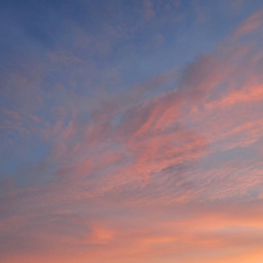 Açık mavi gökyüzü. Pembe ve altın renkli bulutlar. Gün doğumu. Dramatik bulut manzarası. Sanat, meteoroloji, cennet, umut, barış, grafik kaynakları, resimli panoramik manzara