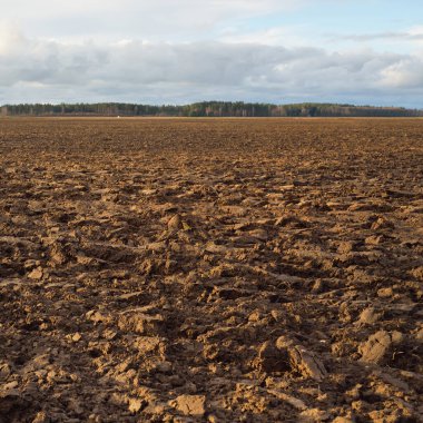 Tarım tarlası, toprak dokusu. Tarım ve gıda endüstrisi, alternatif üretim, gübre, sulama, çevresel hasar ve koruma kavramları