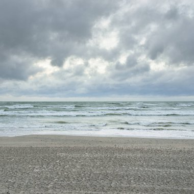 Baltık kıyıları (kum tepeleri) fırtınadan sonra gün batımında. Dramatik gökyüzü, parlayan bulutlar, rüzgar. Sonbahar manzarası. Doğa, çevre, ekoloji, kararsız hava, iklim değişikliği