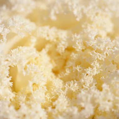 Yeşil bir yaz bahçesinde dekoratif süs lahana (beyaz lahana). Çiy damlaları, yumuşak güneş ışığı. Doğal dokular. Peyzaj, bahçıvanlık, kırsal, çiftlik, çiçekçilik.