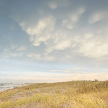 Gün batımında Baltık kıyısı. Kumsal, kum tepeleri, kum tepecikleri. Açık günbatımı gökyüzü, parlayan bulutlar. Idyllic manzara. Doğa, tatiller, eğlence. eko turizm